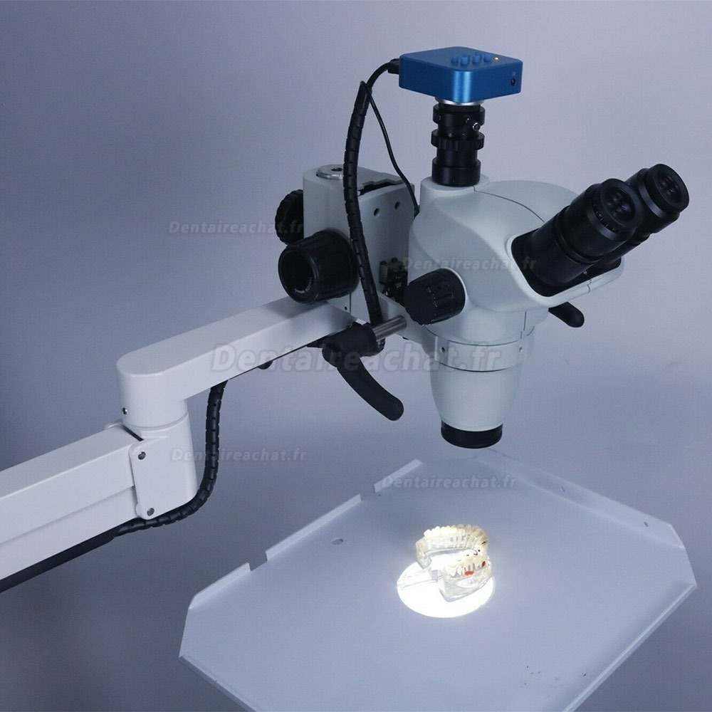 Microscope chirurgicale dentaire avec caméra pour fauteuil dentaire